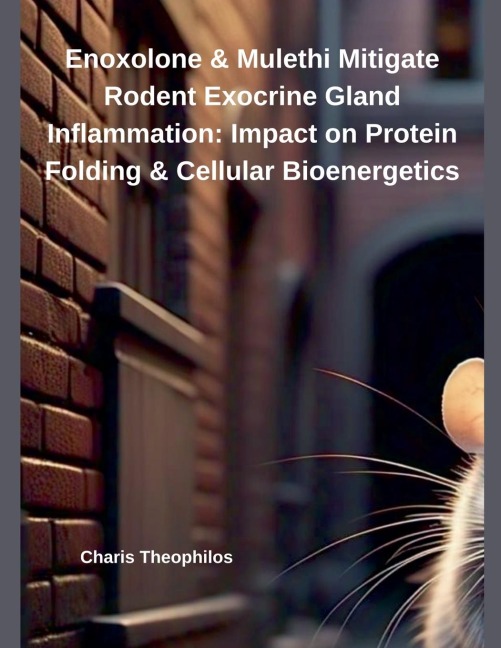 Enoxolone & Mulethi Mitigate Rodent Exocrine Gland Inflammation: Impact on Protein Folding & Cellular Bioenergetics