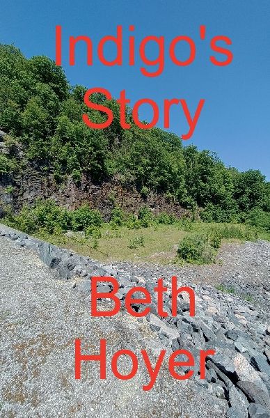 Indigos Story