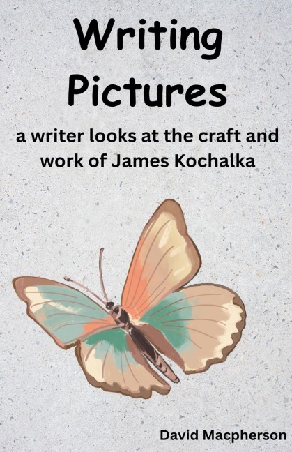 Writing Pictures