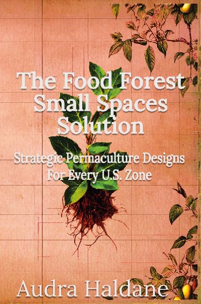 The Food Forest Small Spaces Solution: Strategic Permaculture Designs for Every US Zone