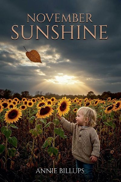 November Sunshine