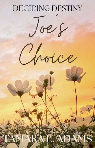 Deciding Destiny: Joes Choice