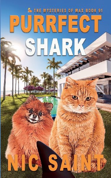 Purrfect Shark