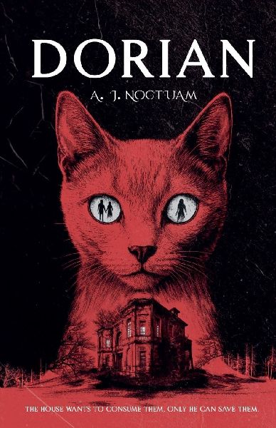 Dorian, the stray cat