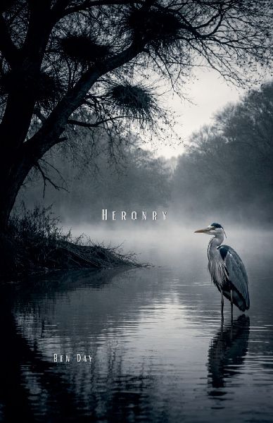 Heronry