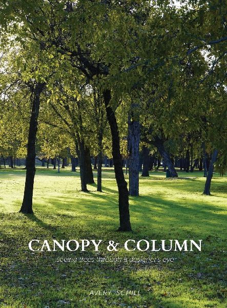 Canopy & Column: seeing trees through a designers eye