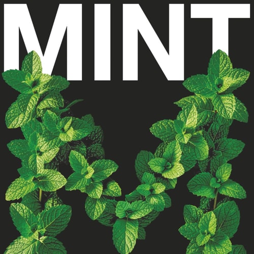 MINT: An illustrated alphabet in two weights