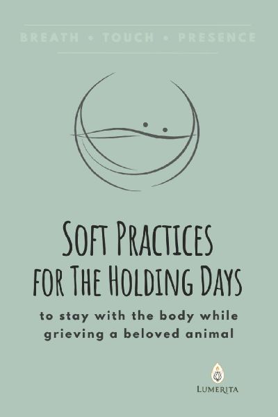 Soft Practices for The Holding Days: to stay with the body while grieving a beloved animal