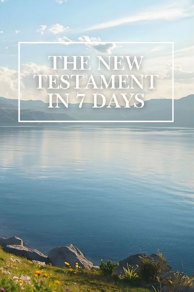 The New Testament In 7 Days