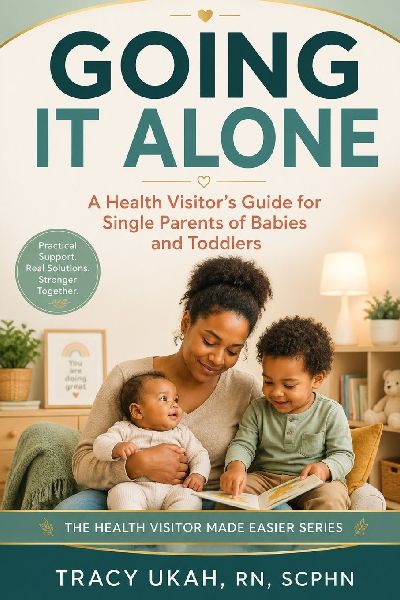 Going It Alone: A Health Visitor's Guide for Single Parents of Babies and Toddlers