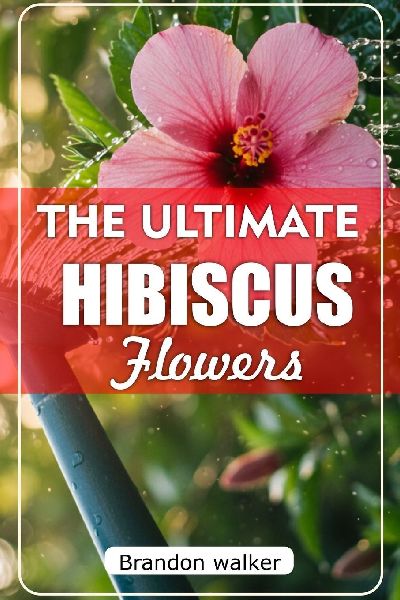 The Ultimate Hibiscus Flower: The Ultimate Beginners Guide to Growing, Caring for, and Harvesting Stunning hibiscus at Home and garden