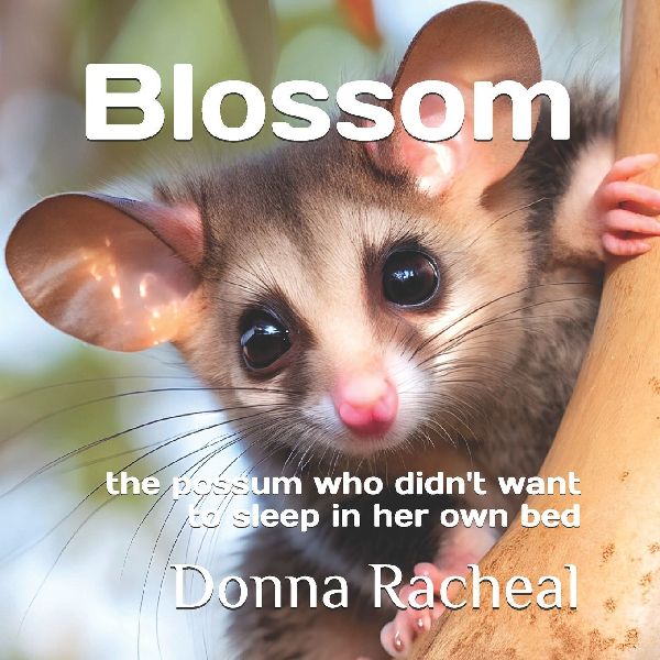 Blossom: the possum who didnt want to sleep in her own bed