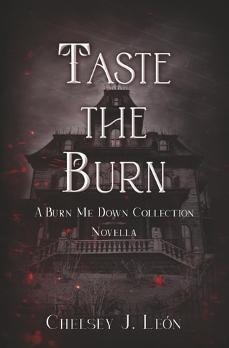 Taste The Burn A Burn Me Down Novella