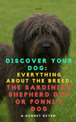 Discover your dog: Everything about the breed: The Sardinian Shepherd Dog or Fonni's Dog