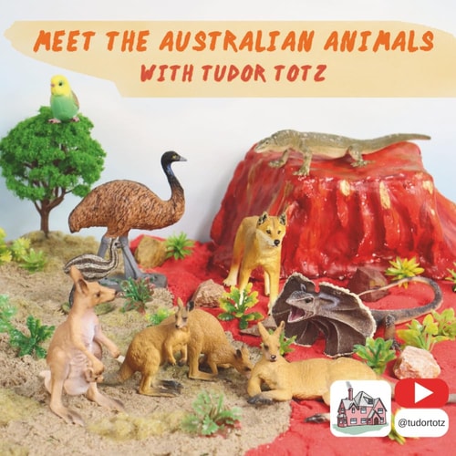 Meet the Australian Animals with Tudor Totz (Meet the Animals with Tudor Totz)