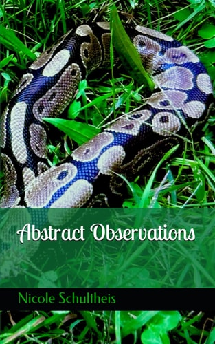 Abstract Observations