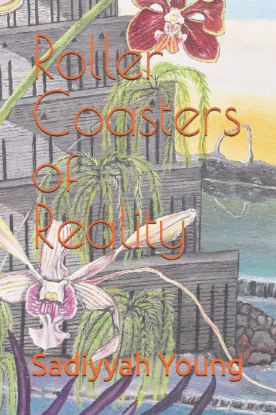 Roller Coasters of Reality