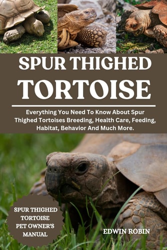 Spur Thighed Tortoise Everything You Need To Know About Spur Thighed Tortoises Breeding, Health Care, Feeding, Habitat, Behavior And Much More.