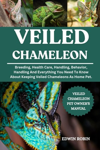 Veiled Chameleon Breeding, Health Care, Handling, Behavior, Handling And Everything You Need To Know About Keeping Veiled Chameleons As Home Pet.