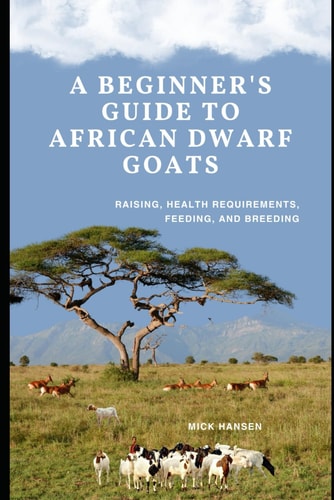 A Beginner's Guide to African Dwarf Goats Raising, Health Requirements, Feeding, and Breeding