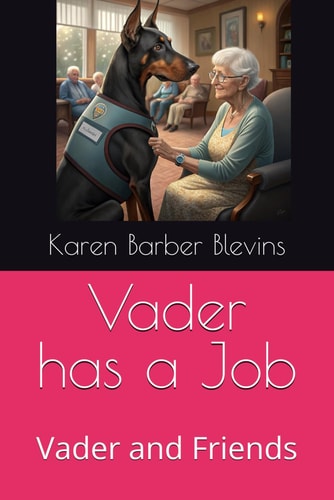Vader Has a Job Vader and Friends