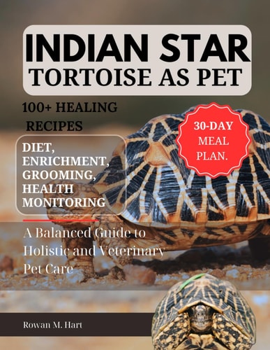 Indian Star Tortoise as Pet A Balanced Guide to Holistic and Veterinary Pet Care