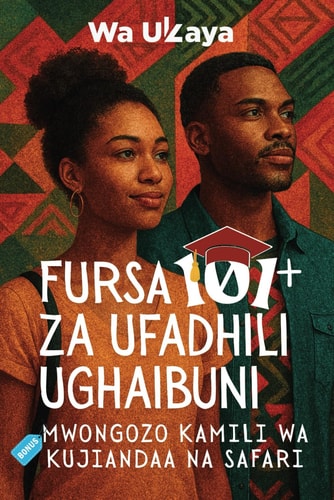 Nafasi 101 Za Ufadhili Ughaibuni Mwongozo Kamili Wa Kujiandaa Na Safari