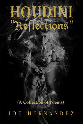 Houdini "Reflections"