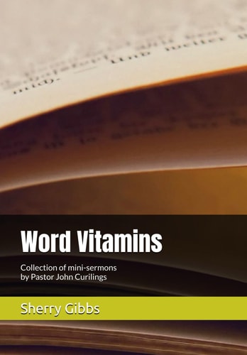 Word Vitamins Collection of Mini-sermons by Pastor John Curilings