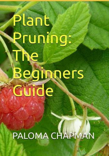 Plant Pruning The Beginners Guide