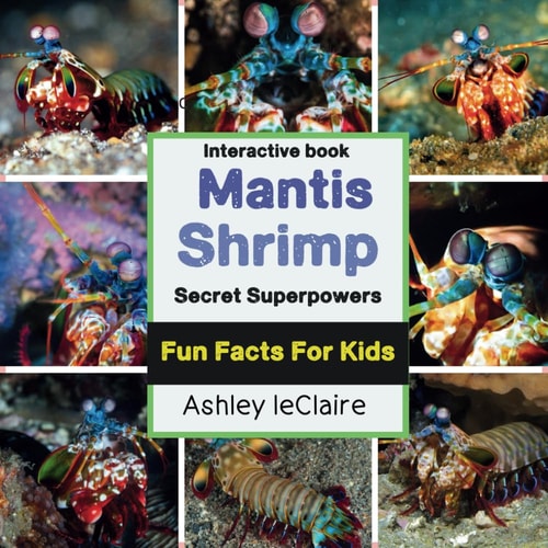 The Secret Superpowers of Mantis Shrimp Unbelievable Underwater Abilities for Kids Ages 5-10