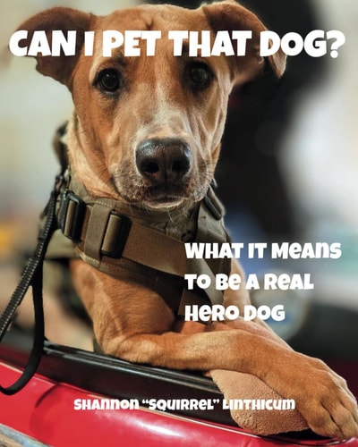 Can I Pet That Dog? What It Means to Be a Real Hero Dog