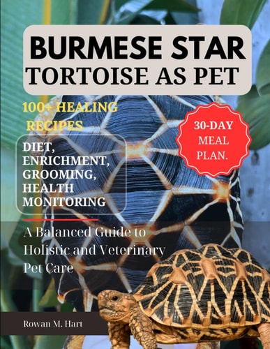 Burmese Star Tortoise as Pet A Balanced Guide to Holistic and Veterinary Pet Care