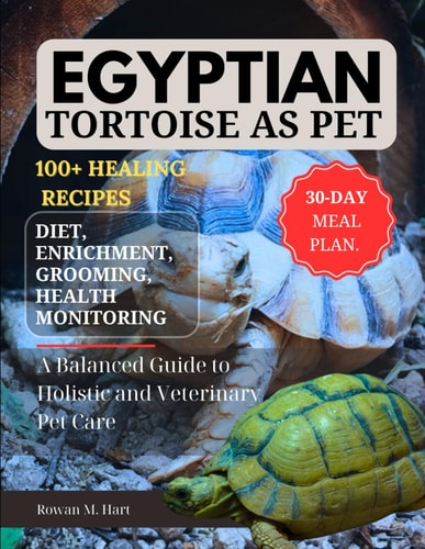 Egyptian Tortoise as Pet A Balanced Guide to Holistic and Veterinary Pet Care