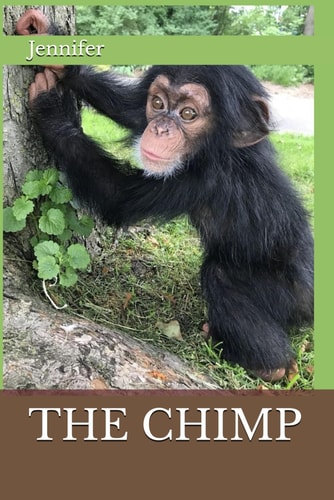 The Chimp