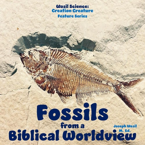 Wasil Science Fossils from a Biblical Worldview