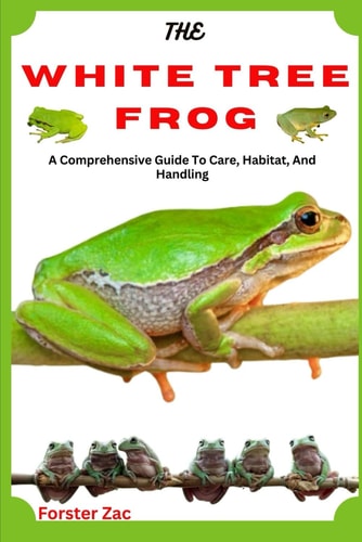 The White Tree Frog A Comprehensive Guide To Care, Habitat, And Handling