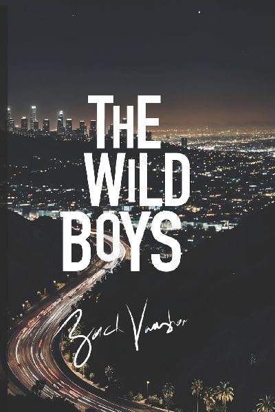 The Wild Boys