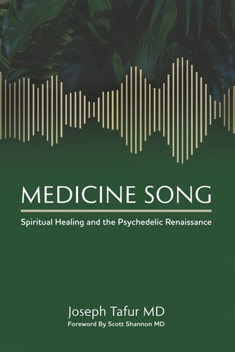 Medicine Song Spiritual Healing and the Psychedelic Renaissance