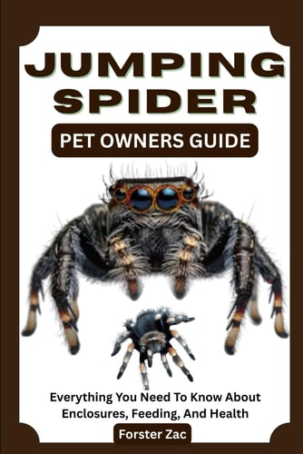Jumping Spider Pet Owners Guide Everything You Need To Know About Enclosures, Feeding, And Health