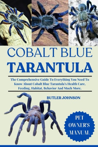 Cobalt Blue Tarantula The Comprehensive Guide To Everything You Need To Know About Cobalt Blue Tarantula's Health Care, Feeding, Habitat, Behavior And Much More.