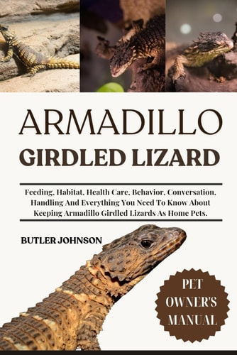 Armadillo Girdled Lizard Feeding, Habitat, Health Care, Behavior, Conversation, Handling And Everything You Need To Know About Keeping Armadillo Girdled Lizards As Home Pets.