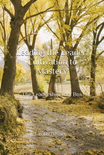 Leading the Leader Cultivation to Mastery: The Leadership Tool Box