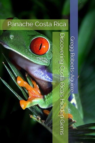 Discovering Costa Rica's Hidden Gems Panache Costa Rica