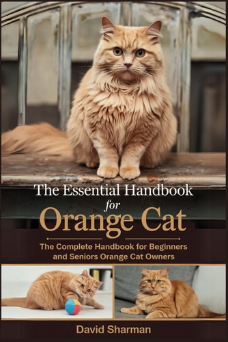 The Essential Handbook for Orange Cat The Complete Handbook For Beginners And Seniors Orange Cat Owners