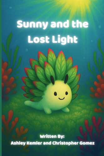 Sunny and the Lost Light