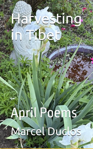 Harvesting in Tibet April Poems