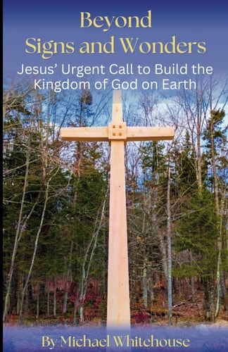 Beyond Signs and Wonders Jesus' Urgent Call to Build the Kingdom of God on Earth