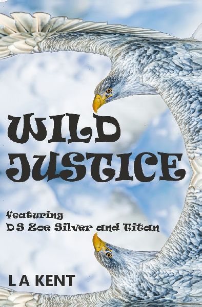 Wild Justice: The fantasy crime thriller set in the real world