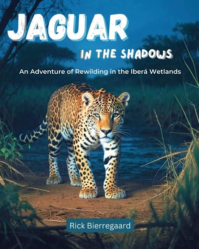 Jaguar in the Shadows An Adventure of Rewilding in the Iberá Wetlands